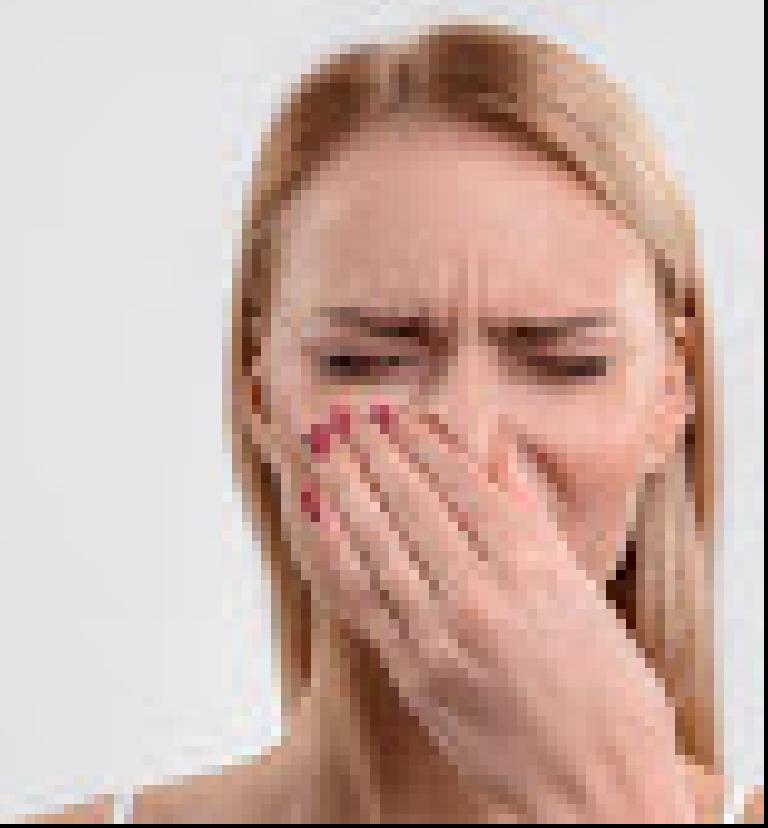 Pet odors stink!