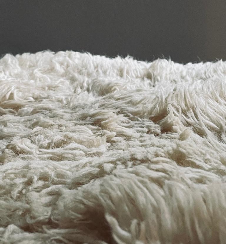 Wool Rug