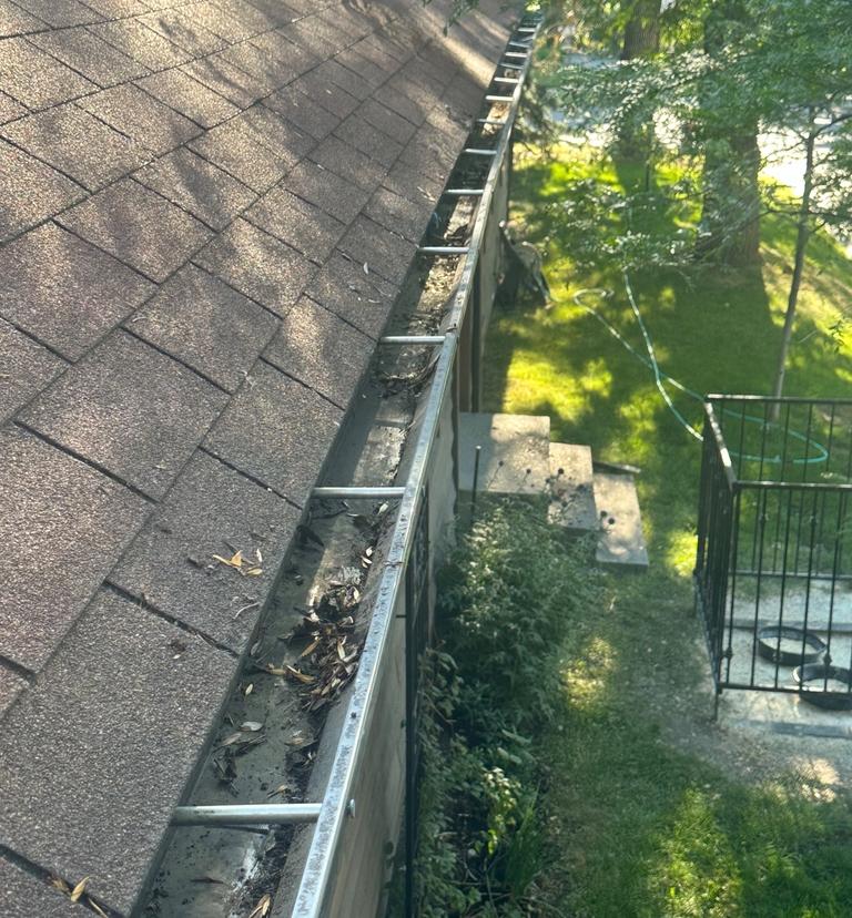 clean gutter